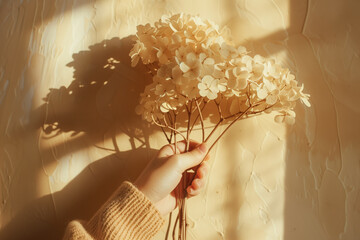 Person holding a delicate dried hydrangea bouquet, casting shadows on a cream background, warm tone, space for text, suitable for calm aesthetic concepts or minimalist decor themes