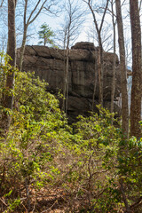 Courthouse Rock in the Great Smoky Mountains - 739665114