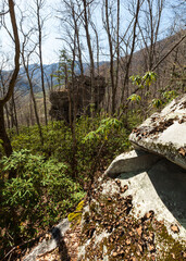Courthouse Rock in the Great Smoky Mountains National Park - 739665165