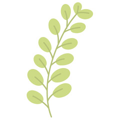 Fototapeta premium Green leaf illustration 