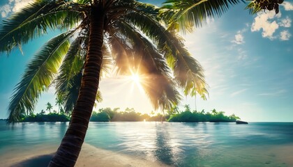 The sun rays inside Coconut Palms Island on tranquil tropic sea