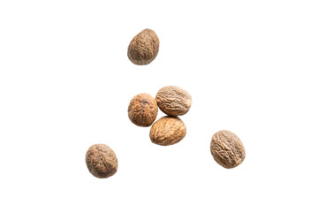 Closeup organic whole raw nutmegs isolated on a transparent background without shadow from above,...