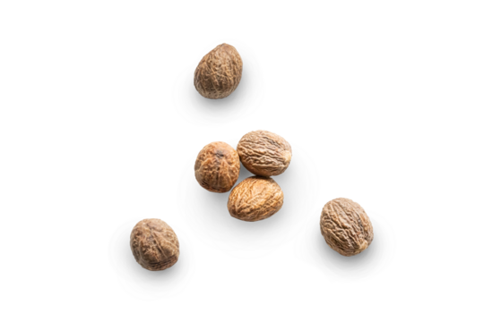 Closeup organic whole raw nutmegs isolated on a transparent background with shadow from above, top view