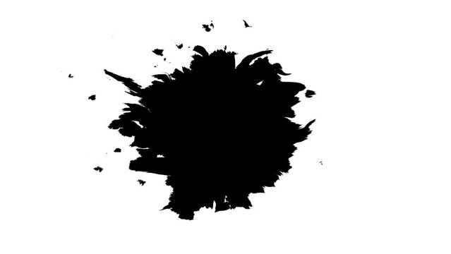 Splashes spread black ink water