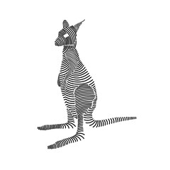 Fototapeta premium Simple line art illustration of a kangaroo 2