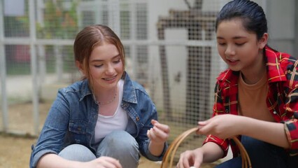 Happy teenage girl farmer collect organic chicken eggs on the ground put in a basket together in chicken coop. School student learning to raising the chickens with nature healthy food in farm. - Powered by Adobe