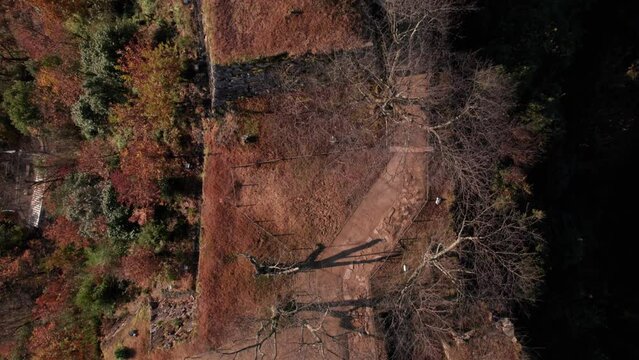 Ancient Japanese Ruins Seen from Above Aerial Drone Asago Hyogo Forest Landscape