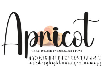 Lettering signature font isolated on grey background. brus style alphabet. Vector logo letters.