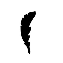 Bird Feather black silhouettes