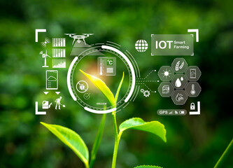 Smart farming agricultural transformation technology concept. Digital cyber display of IOT element...