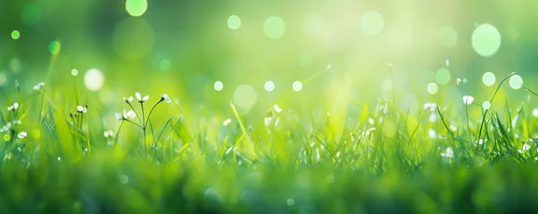 Foto op Plexiglas Beautiful meadow landscape with fresh grass in spring © FATHOM
