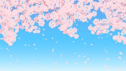 青い空と満開の桜のイラスト、春のイメージの背景素材