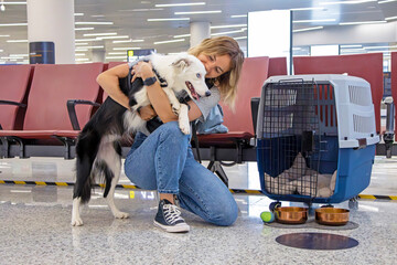 transportation of pets. Girl and dog. Dog carriers for air travel. sat waiting for the plane....