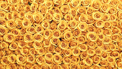 Top view of numerous white roses with delicate petals unfolding to reveal yellow cores, creating mesmerizing pattern ideal for backgrounds, wallpapers or fabric designs.