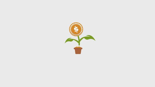 Planting plants in pots with money plant coins. Profit, income, financial success, making money, investment concept. Animated videos.