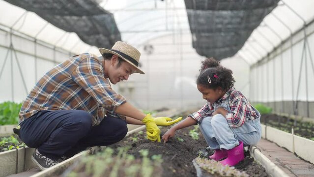 Happy little African child girl learning to grow organic vegetable with farmer in greenhouse garden. Student study agriculture subject gardening healthy food for sustainable living at agriculture farm