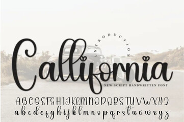 Signature Font Calligraphy Logotype Script Brush Font Type Font lettering handwritten