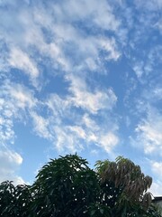 Fototapeta premium Cielo