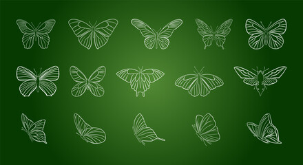 Vector outline linear white butterflies on green background