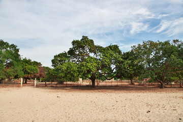 Fototapeta na wymiar Sipo village close Toubacouta in Senegal, West Africa