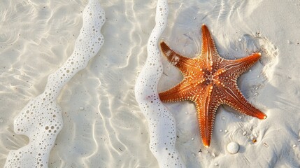 Fototapeta na wymiar Starfish on beach. Generative AI