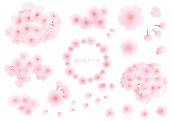 水彩風の桜セット - obrazy, fototapety, plakaty