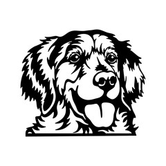 Peeking Golden Retriever - Dog lover owner gift - Dog cut file - Peeking Dog Cut Stencil