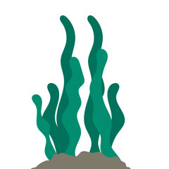 Obraz premium Flat Seawed Illustration
