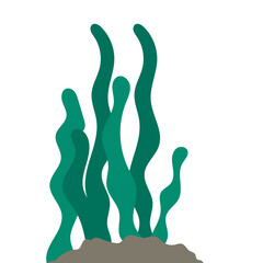 Flat Seawed Illustration