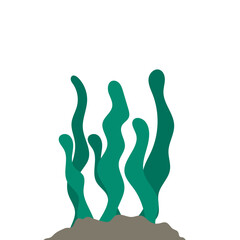 Flat Seawed Illustration