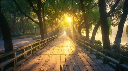 Foto op Plexiglas The plank path in the park on a sunny morning. © Salman