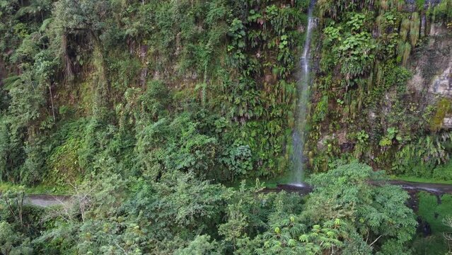 Mountain jungle waterfall falls directly onto Yungas Rd in Bolivia