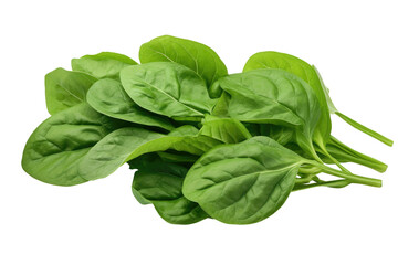 A Bunch of Green Spinach Leaves. A close up photograph of multiple green spinach leaves arranged together on a White or Clear Surface PNG Transparent Background.