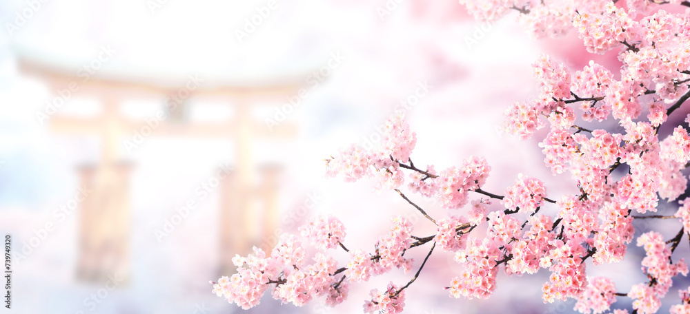 Aufkleber horizontal banner with sakura flowers of pink color and torii gate on misty backdrop. beautiful natu