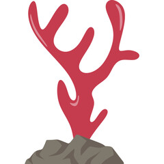 Obraz premium Hand Drawn Coral