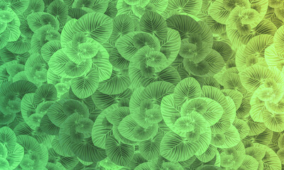 colorful tropical leaves spring nature wallpaper background
