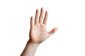 The Hand Isolated On Transparent Background