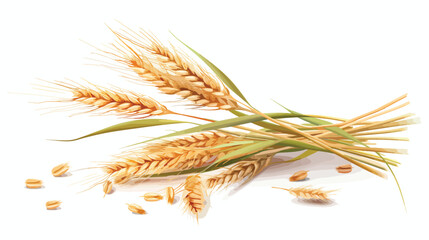 Bunch of wheat on white background. - obrazy, fototapety, plakaty
