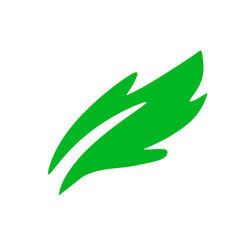 Leaf illustration vector