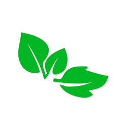 Leaf illustration vector