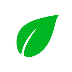 Obraz premium Leaf illustration vector