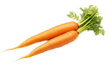 Two fresh carrots neatly arranged on top of one another, showcasing their vibrant colors and natural shape. on a White or Clear Surface PNG Transparent Background.