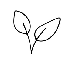 leaf line icon