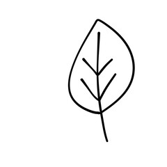 leaf line icon