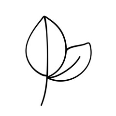 leaf line icon