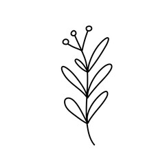 Obraz premium Floral ornament hand drawn