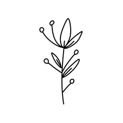 Floral ornament hand drawn