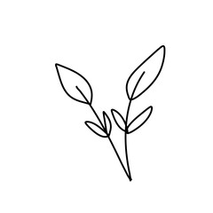 Floral ornament hand drawn