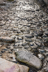 Closeup or wet cobblestone road, Puerto Vallarta, Mexico