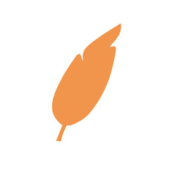 Tropical leaves illustration